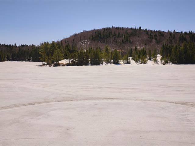 Bord de l'eau