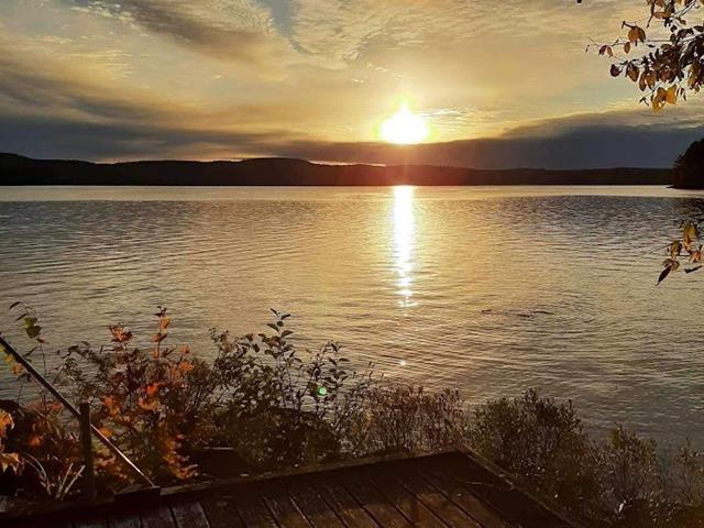 Vue sur l'eau