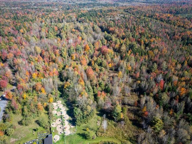 Terre à bois