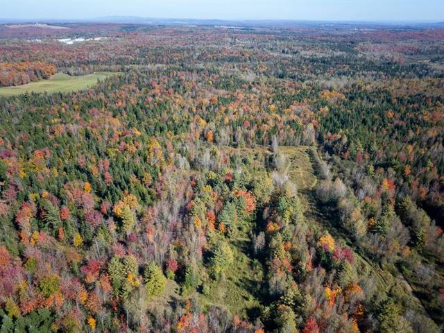 Terre à bois