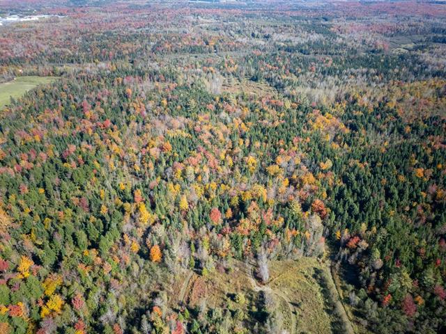 Terre à bois