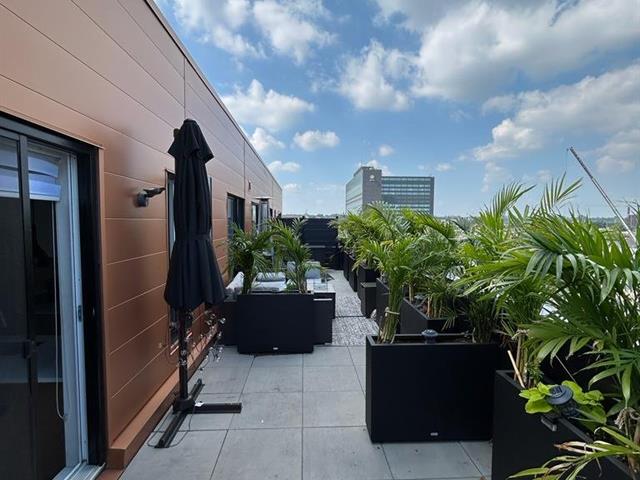 maison à vendre Montréal (Ville-Marie)