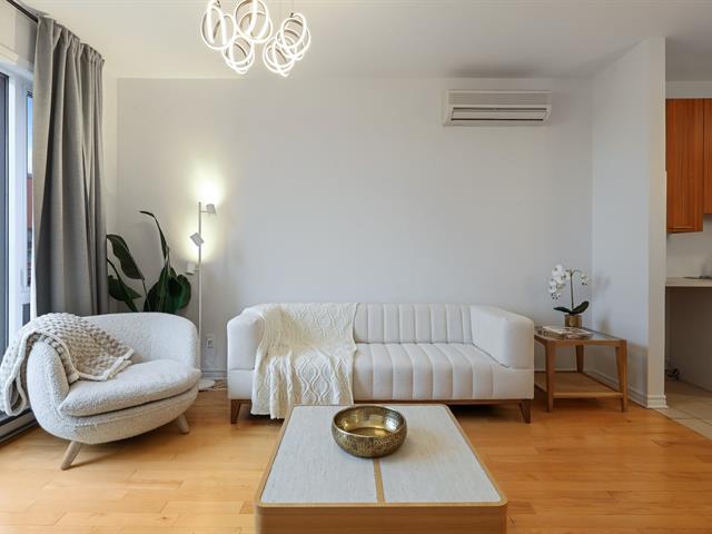 maison à vendre Montréal (Le Plateau-Mont-Royal)