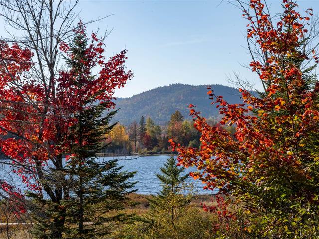 Bord de l'eau