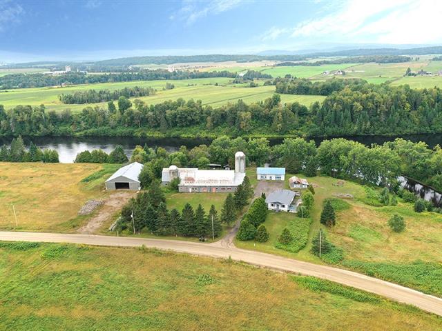 Overall View