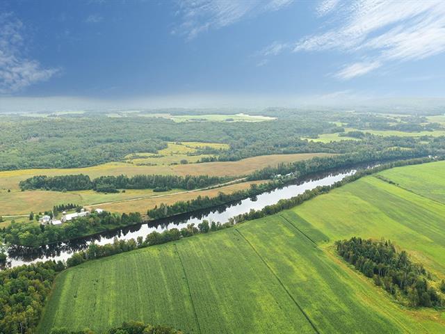Overall View