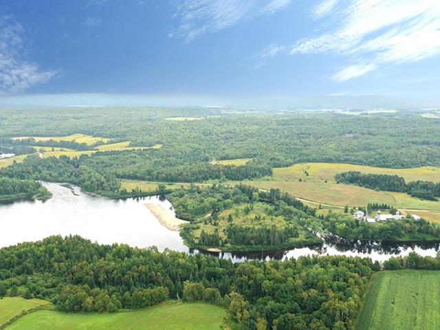 Overall View