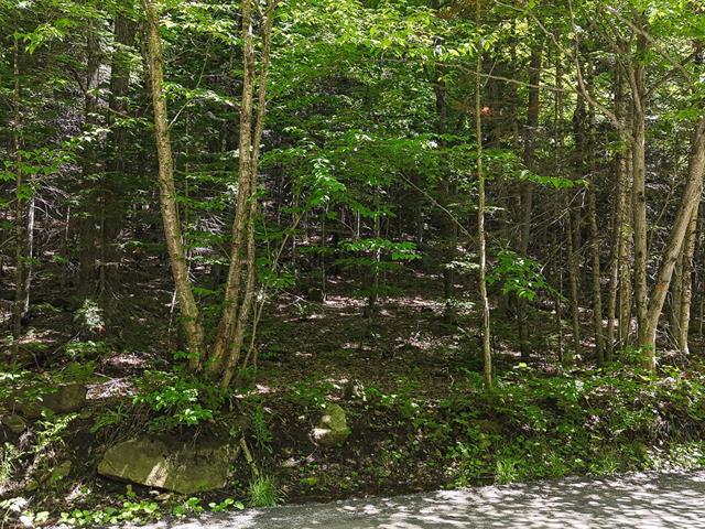 Terre/Terrain