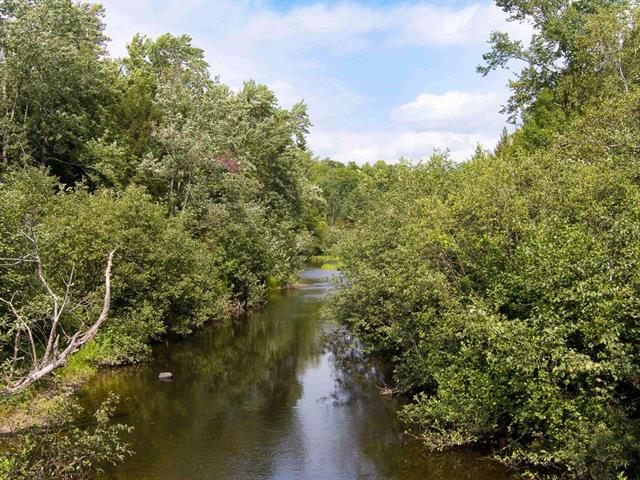 Bord de l'eau
