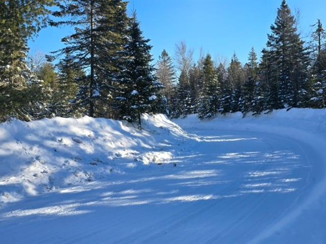 maison à vendre Saint-Alexis-des-Monts