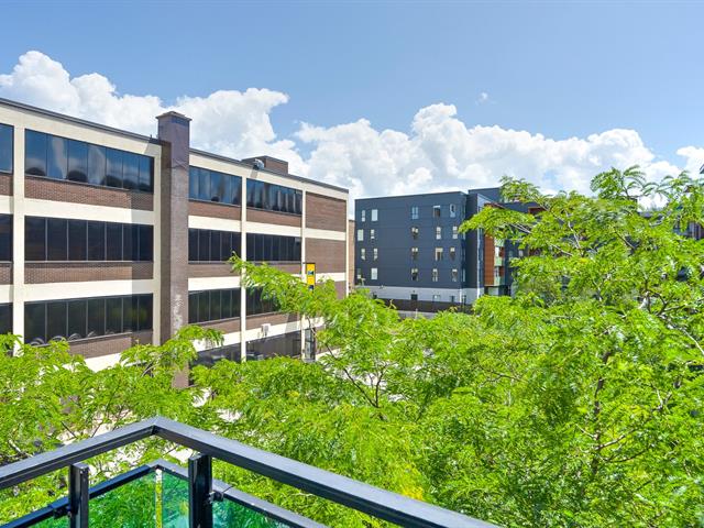 Vue