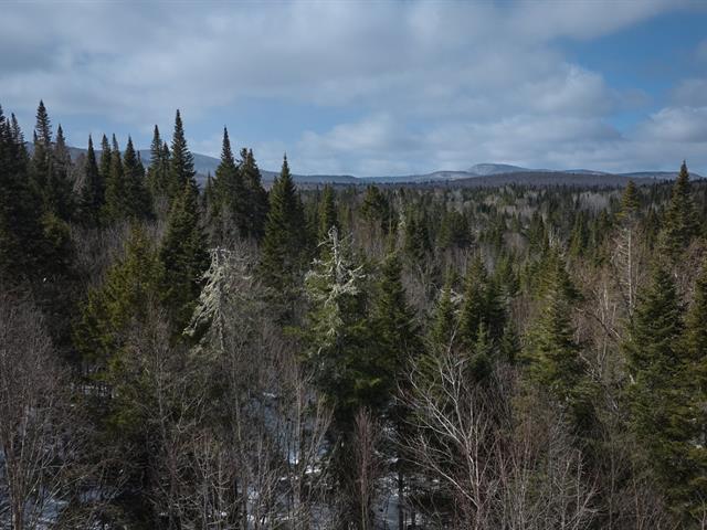 Terre/Terrain