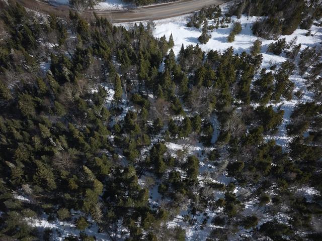Terre/Terrain