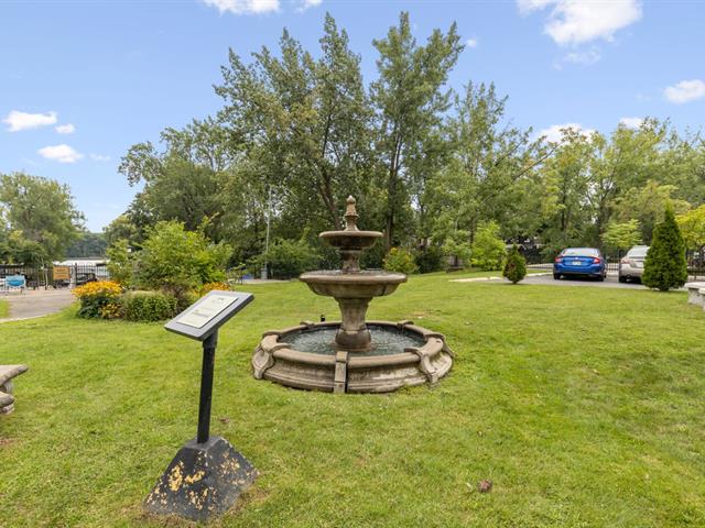 Cour