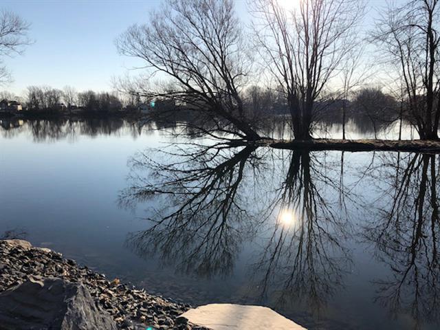 Bord de l'eau