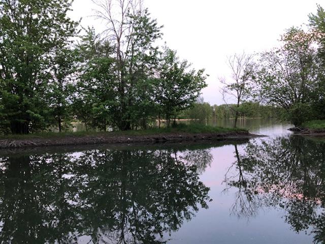 Bord de l'eau