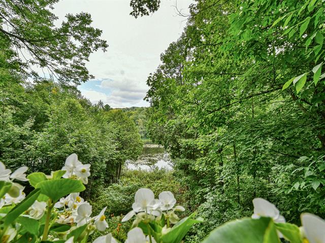 Vue sur l'eau