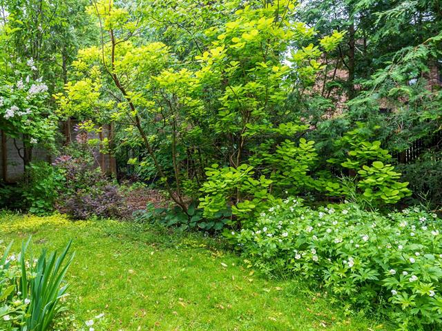 Jardin
