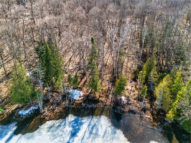Terre/Terrain