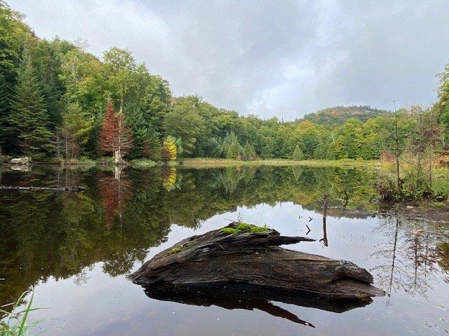 Vue sur l'eau