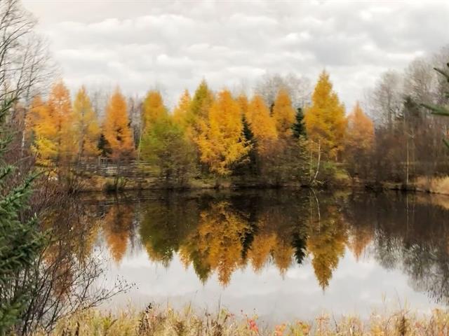 Vue sur l'eau