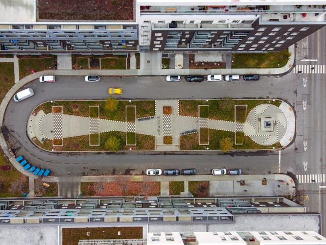 Rue