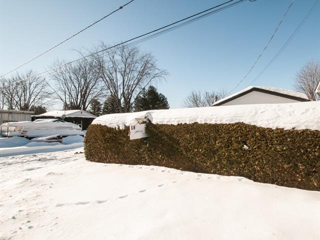 Terre/Terrain