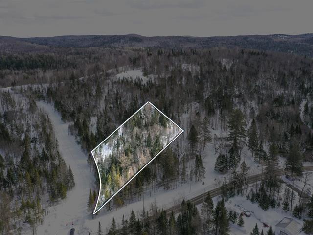 Terre/Terrain