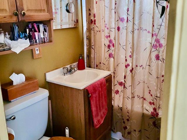 Triplex à vendre, Montréal (Mercier/Hochelaga-Maisonneuve)