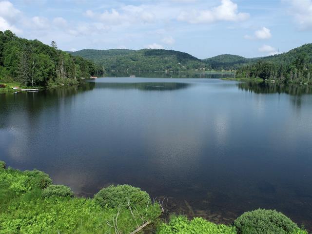Vue sur l'eau