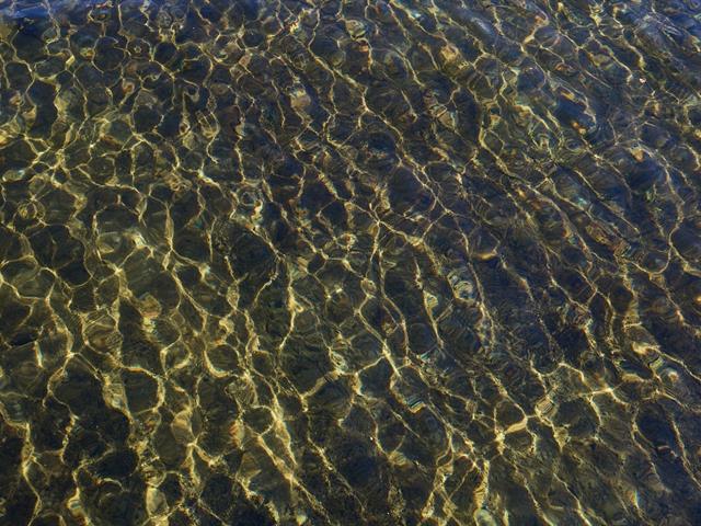 Bord de l'eau