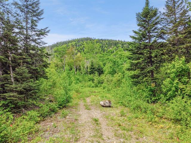 Lot for sale, Saint-Zénon