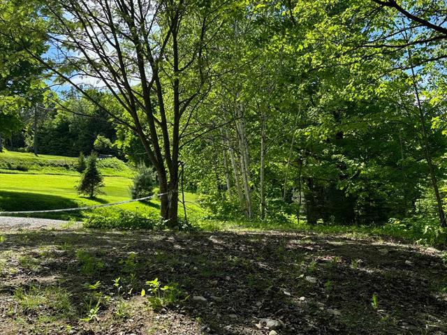 Land/Lot