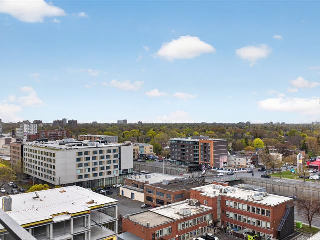 Vue