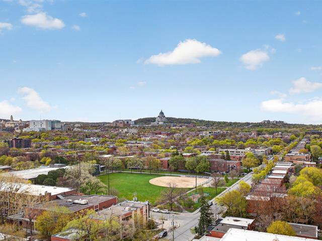 Vue