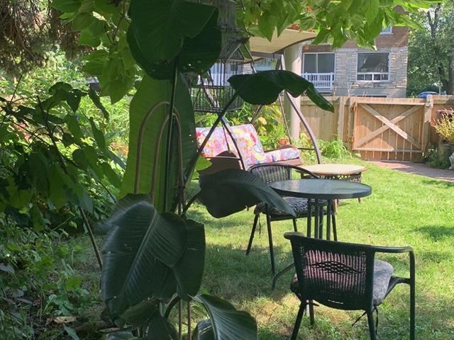 Jardin