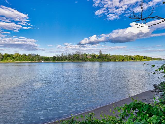 Bord de l'eau