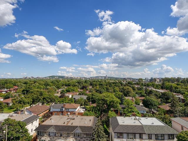 Vue