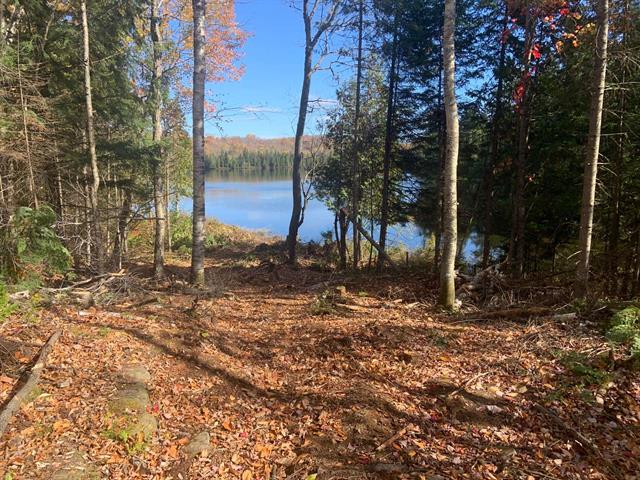 maison à vendre Saint-Alexis-des-Monts