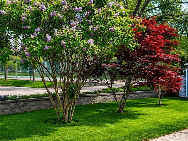 Jardin
