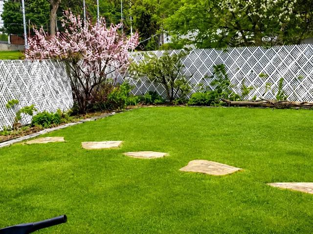 Jardin