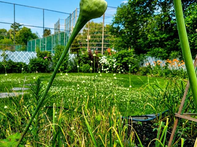 Jardin