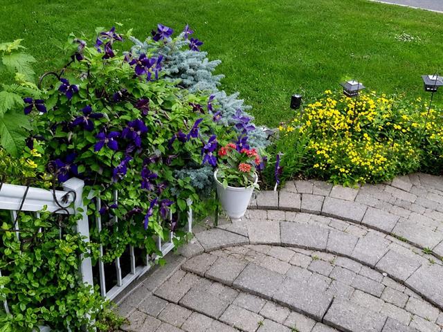Jardin
