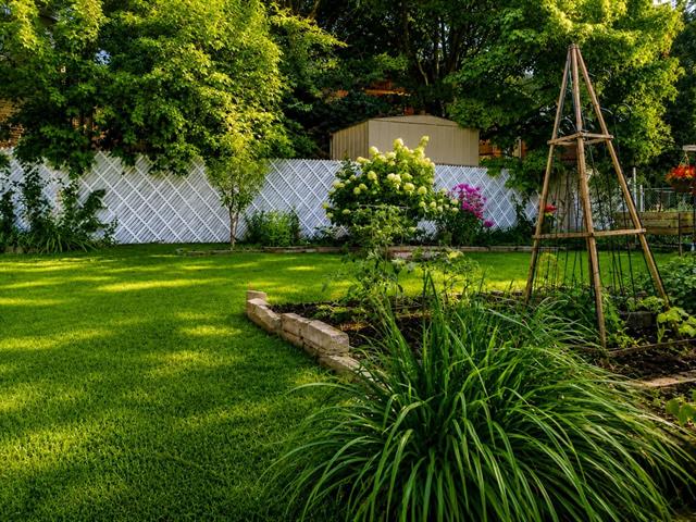 Jardin